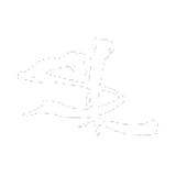 Salt Life Co
